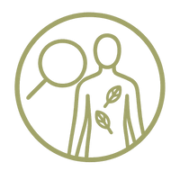 Specialized Focus Treatments 1-2 Areas Max