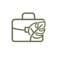 Solution icon