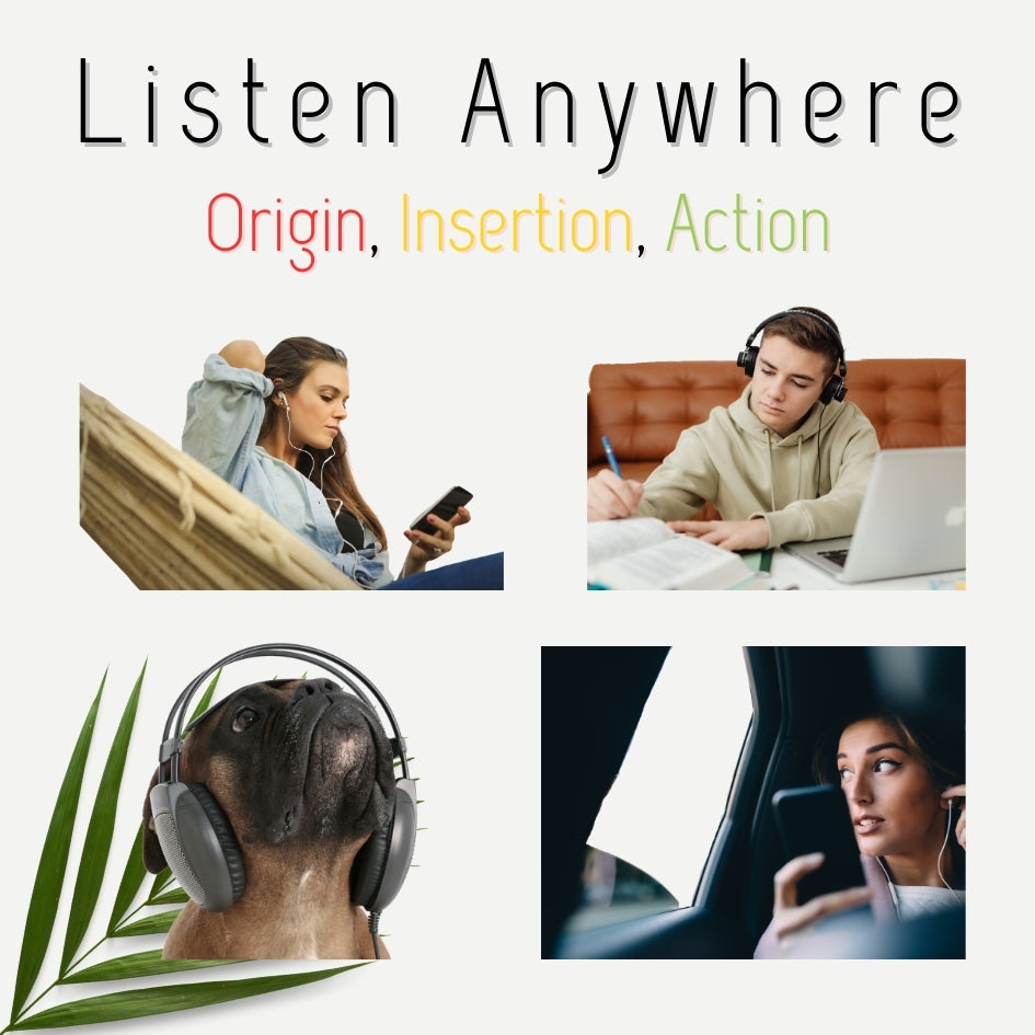 EHW woosb, downloadable, virtual All Muscles Audio Bundle