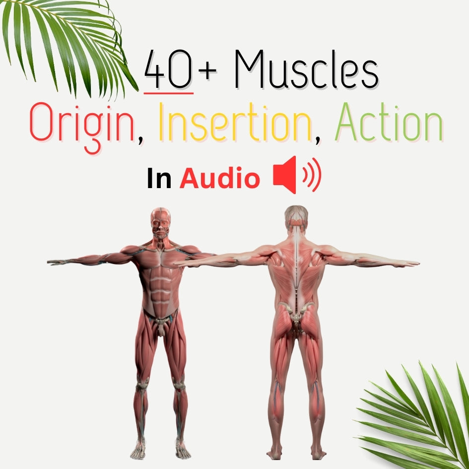 EHW woosb, downloadable, virtual All Muscles Audio Bundle